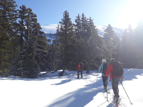 Vercors 2020 - Ascension Grand Veymont (1)