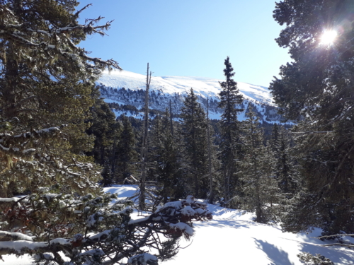 Vercors 2020 - Ascension Grand Veymont (5)