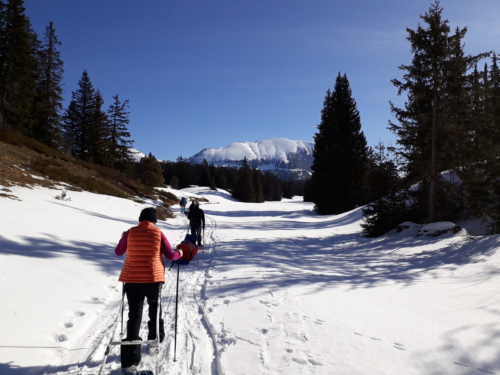 Vercors 2020 - Installation campement