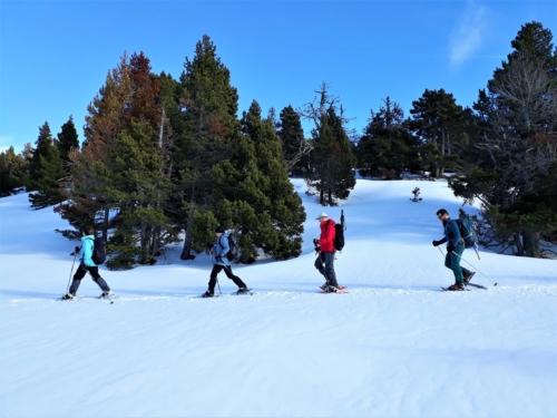 Vercors 2020 - Les aiguillettes (22)